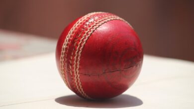 Some Amazing Cricket Betting Tips: Crucial Information