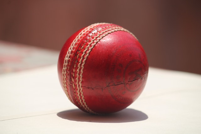 Some Amazing Cricket Betting Tips: Crucial Information